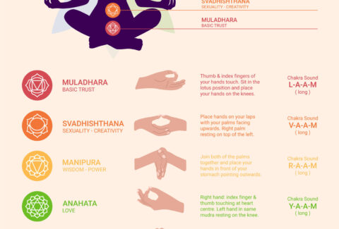 258850162_523ea746-48be-42df-831e-55076eabecd0 (1)