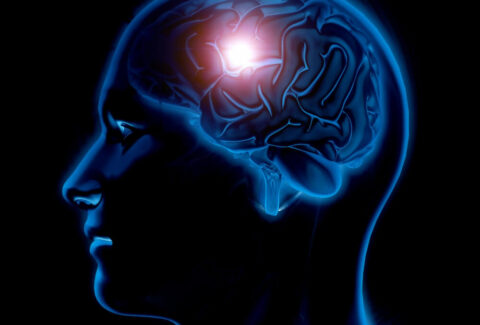 nervous system reset tools